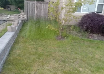 Affordable Lawn Mowing