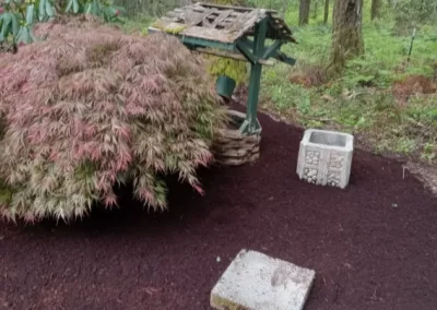 Quality landscape services