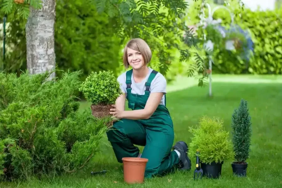 Enhancing Property Value Through Expert Landscaping Services Bremerton, WA Enhancing Property Value Through Expert Landscaping Services Bremerton, WA