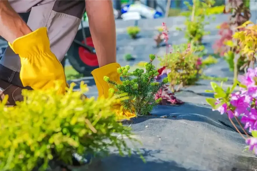 Experienced Landscaping Services Bremerton, WA