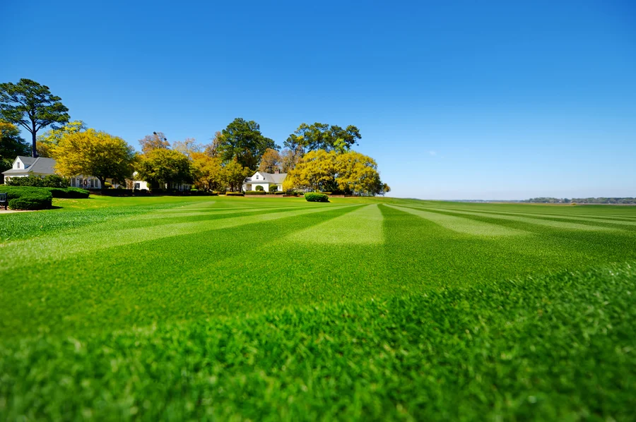 How Aeration And Fertilization Promote A Lush Lawn in Bremerton, WA How Aeration And Fertilization Promote A Lush Lawn in Bremerton, WA