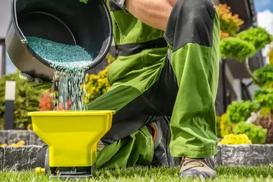 Key Elements Of A Well-planned Landscaping Project Bremerton, WA Key Elements Of A Well-planned Landscaping Project Bremerton, WA