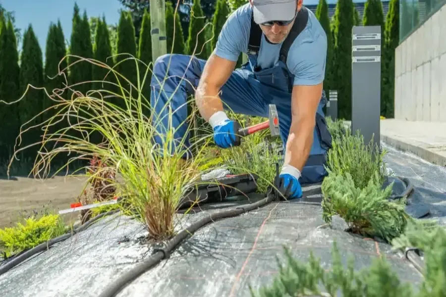 Key Elements Of A Well-planned Landscaping Project in Bremerton, WA Key Elements Of A Well-planned Landscaping Project in Bremerton, WA