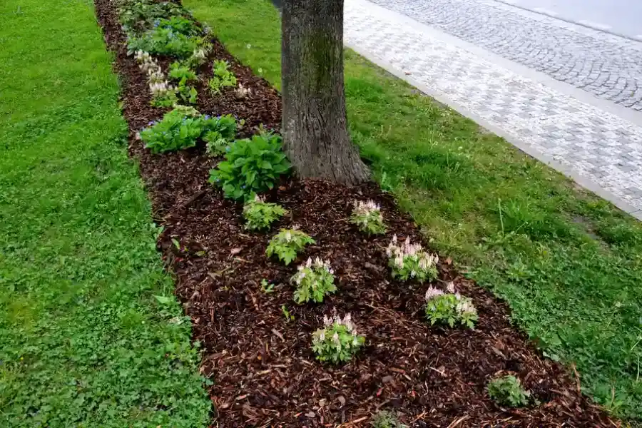 Reputable Mulching Bremerton, WA Reputable Mulching Bremerton, WA