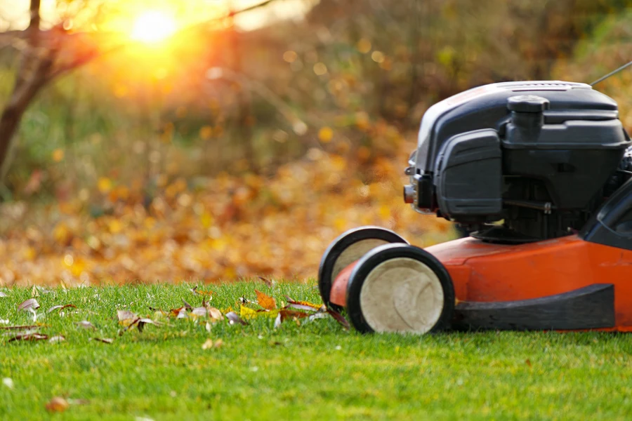 The Benefits Of Professional Lawn Care For Seasonal Maintenance in Bremerton, WA The Benefits Of Professional Lawn Care For Seasonal Maintenance in Bremerton, WA